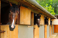 free Shanklin stable construction quotes